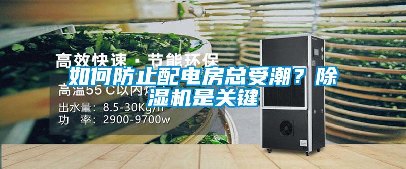 如何防止配電房總受潮？除濕機(jī)是關(guān)鍵