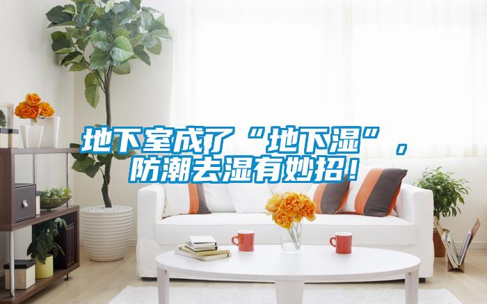 地下室成了“地下濕”，防潮去濕有妙招！