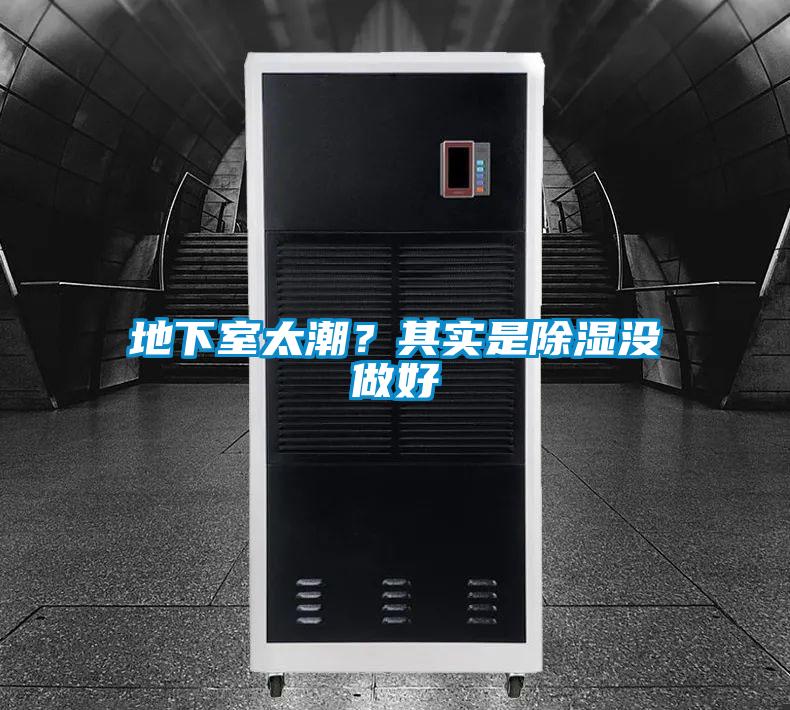 地下室太潮？其實是除濕沒做好
