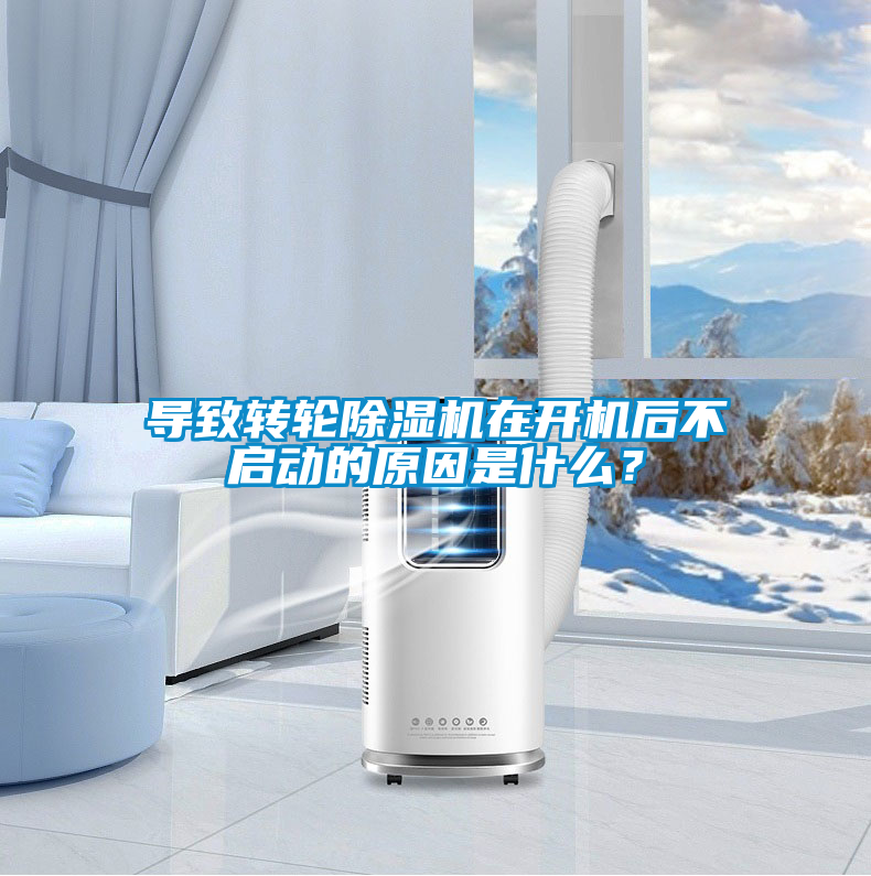 導(dǎo)致轉(zhuǎn)輪除濕機(jī)在開機(jī)后不啟動的原因是什么？