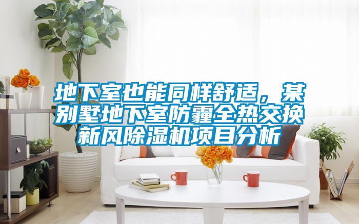 地下室也能同樣舒適，某別墅地下室防霾全熱交換新風(fēng)除濕機(jī)項(xiàng)目分析