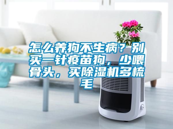 怎么養(yǎng)狗不生?。縿e買一針疫苗狗，少喂骨頭，買除濕機多梳毛