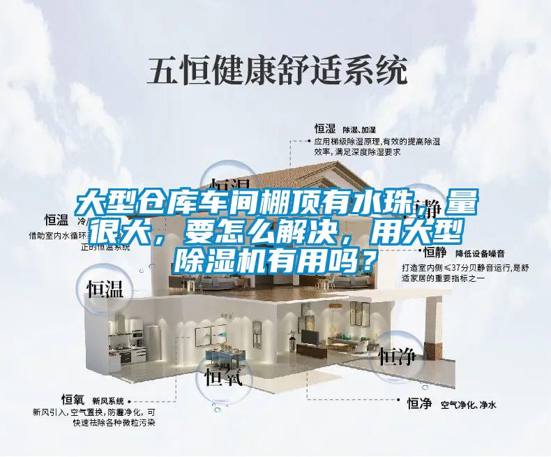 大型倉庫車間棚頂有水珠，量很大，要怎么解決，用大型除濕機(jī)有用嗎？