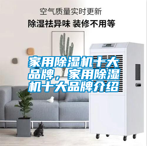 家用除濕機(jī)十大品牌，家用除濕機(jī)十大品牌介紹