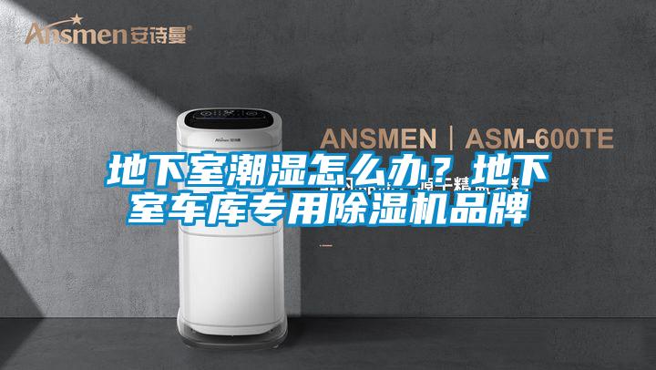 地下室潮濕怎么辦？地下室車庫專用除濕機品牌