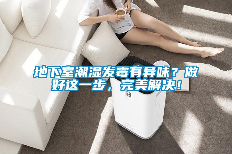 地下室潮濕發(fā)霉有異味？做好這一步，完美解決！