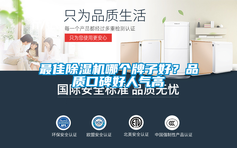 最佳除濕機(jī)哪個牌子好？品質(zhì)口碑好人氣高