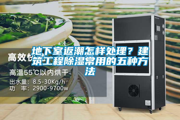 地下室返潮怎樣處理？建筑工程除濕常用的五種方法