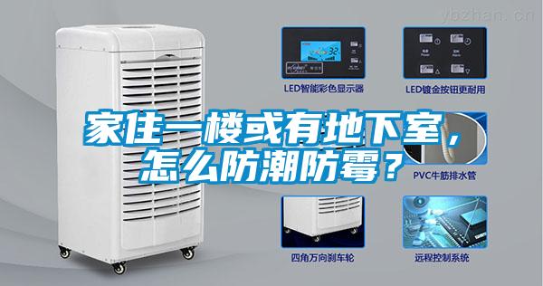 家住一樓或有地下室，怎么防潮防霉？
