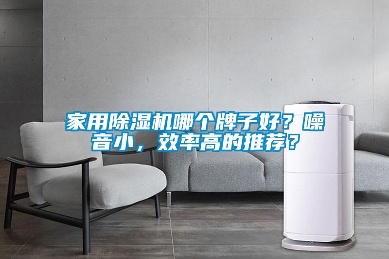 家用除濕機哪個牌子好？噪音小，效率高的推薦？