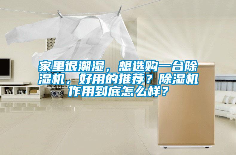家里很潮濕，想選購一臺除濕機(jī)，好用的推薦？除濕機(jī)作用到底怎么樣？