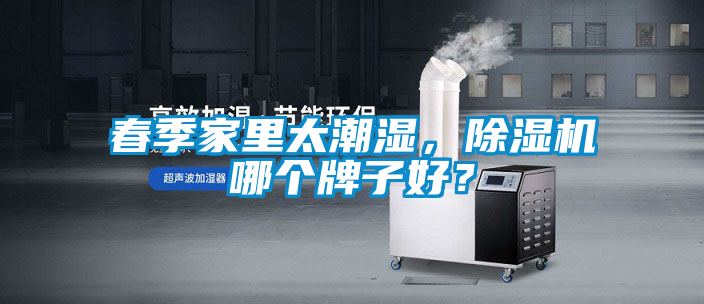春季家里太潮濕，除濕機(jī)哪個牌子好？
