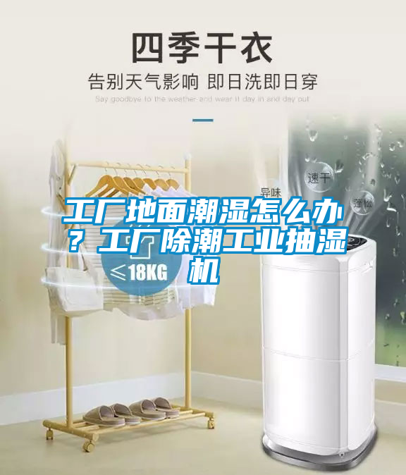 工廠地面潮濕怎么辦？工廠除潮工業(yè)抽濕機(jī)