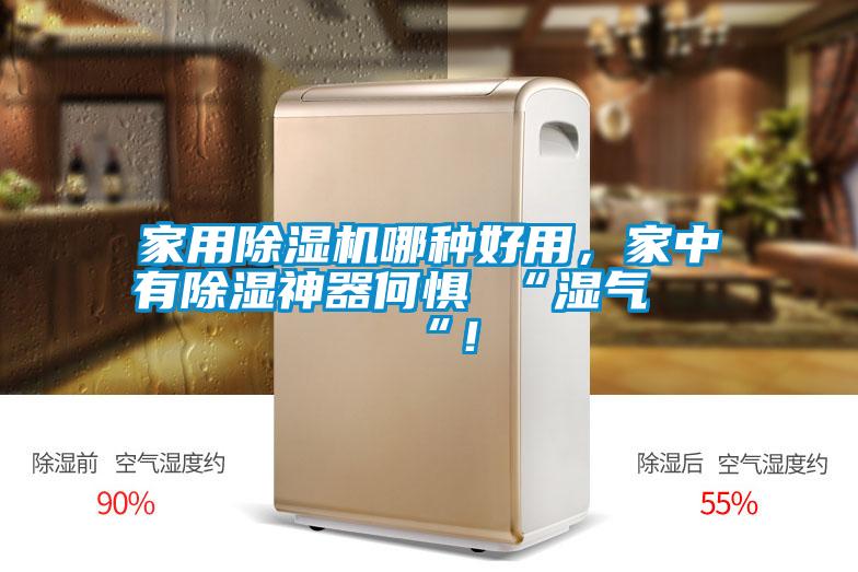 家用除濕機哪種好用，家中有除濕神器何懼 “濕氣 “！