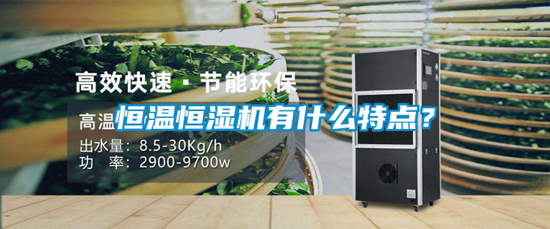 恒溫恒濕機(jī)有什么特點(diǎn)？