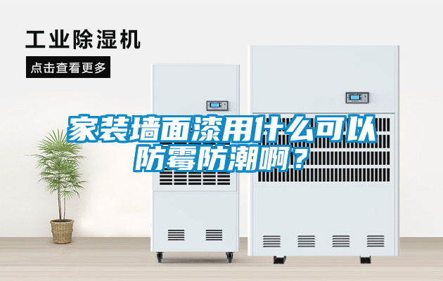 家裝墻面漆用什么可以防霉防潮??？