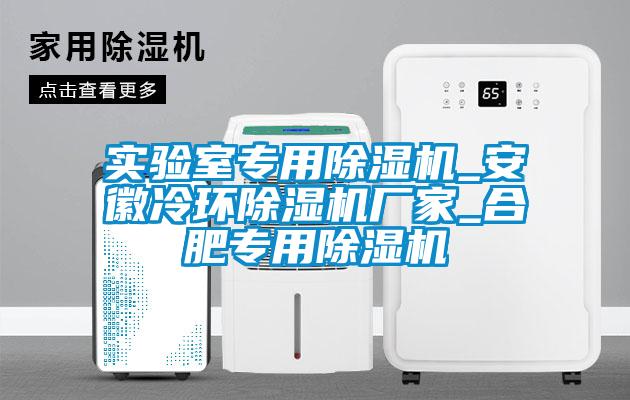 實驗室專用除濕機(jī)_安徽冷環(huán)除濕機(jī)廠家_合肥專用除濕機(jī)