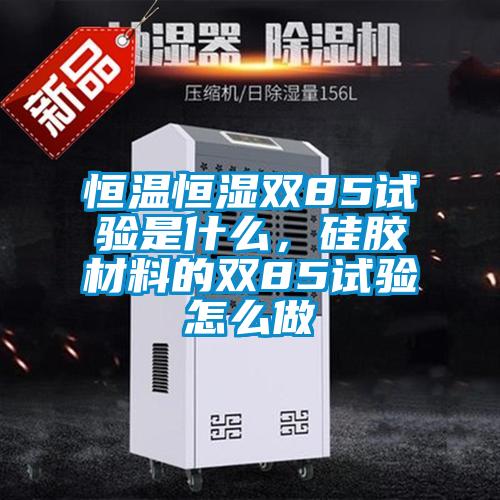 恒溫恒濕雙85試驗(yàn)是什么，硅膠材料的雙85試驗(yàn)怎么做