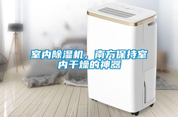 室內(nèi)除濕機(jī)，南方保持室內(nèi)干燥的神器