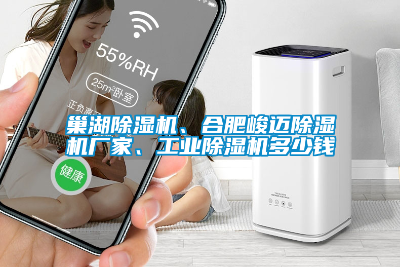巢湖除濕機(jī)、合肥峻邁除濕機(jī)廠家、工業(yè)除濕機(jī)多少錢