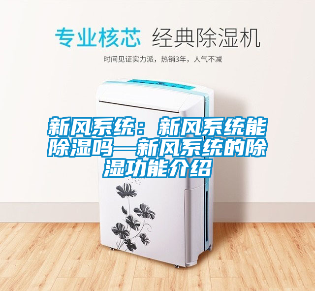 新風系統(tǒng):新風系統(tǒng)能除濕嗎—新風系統(tǒng)的除濕功能介紹