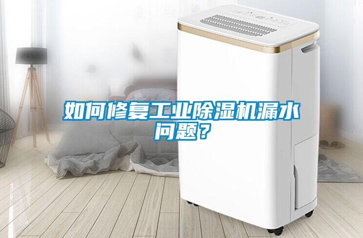如何修復(fù)工業(yè)除濕機(jī)漏水問(wèn)題？