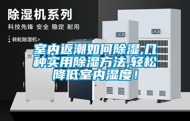 室內(nèi)返潮如何除濕,幾種實用除濕方法,輕松降低室內(nèi)濕度！