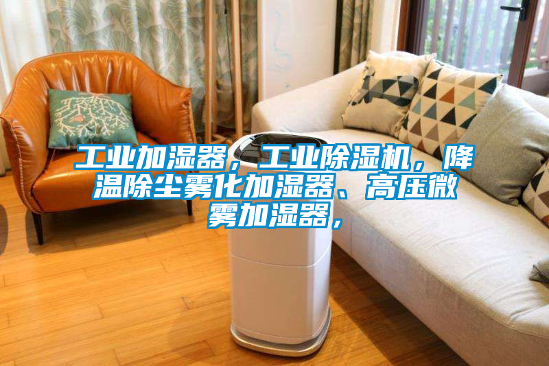 工業(yè)加濕器，工業(yè)除濕機，降溫除塵霧化加濕器、高壓微霧加濕器，