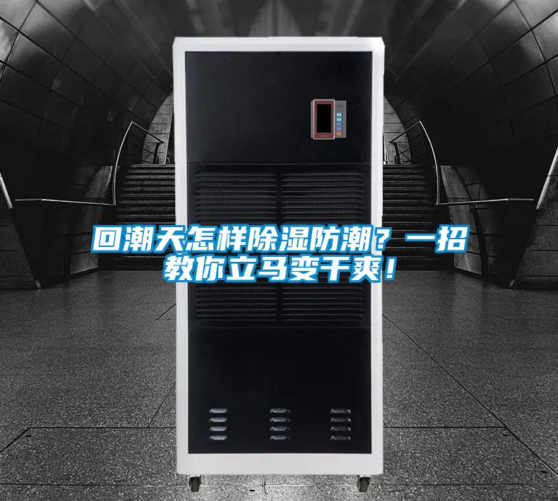 回潮天怎樣除濕防潮？一招教你立馬變干爽！