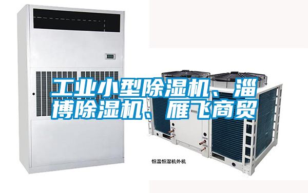 工業(yè)小型除濕機(jī)、淄博除濕機(jī)、雁飛商貿(mào)