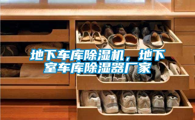 地下車庫除濕機(jī)，地下室車庫除濕器廠家