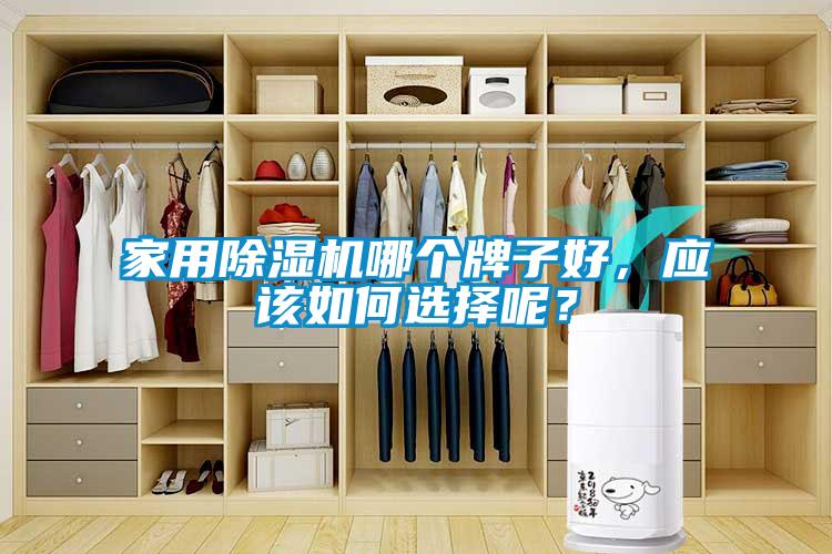 家用除濕機哪個牌子好，應(yīng)該如何選擇呢？