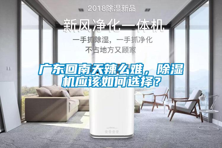 廣東回南天辣么難，除濕機(jī)應(yīng)該如何選擇？