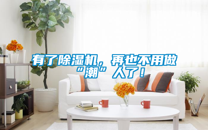 有了除濕機(jī)，再也不用做“潮”人了！