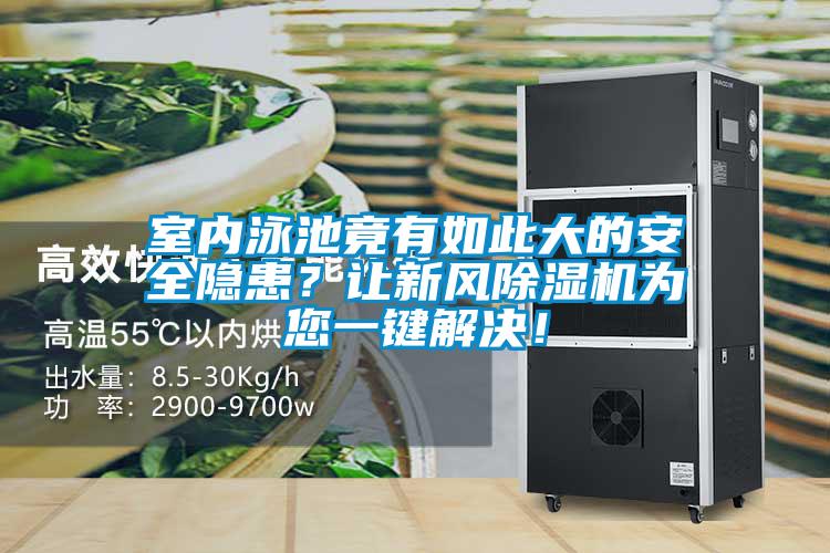 室內(nèi)泳池竟有如此大的安全隱患？讓新風(fēng)除濕機(jī)為您一鍵解決！
