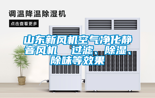 山東新風(fēng)機空氣凈化靜音風(fēng)機  過濾、除濕、除味等效果