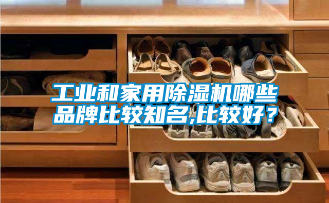 工業(yè)和家用除濕機(jī)哪些品牌比較知名,比較好？
