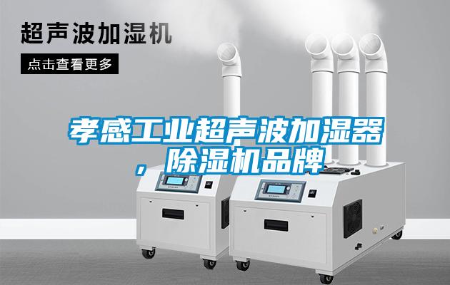 孝感工業(yè)超聲波加濕器，除濕機(jī)品牌