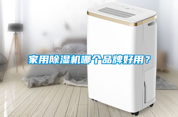 家用除濕機哪個品牌好用？