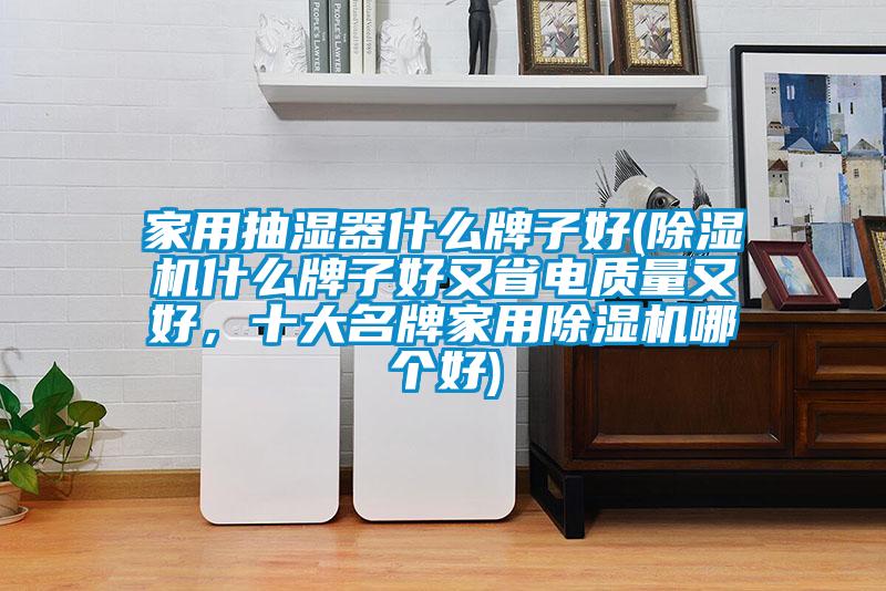 家用抽濕器什么牌子好(除濕機(jī)什么牌子好又省電質(zhì)量又好，十大名牌家用除濕機(jī)哪個(gè)好)