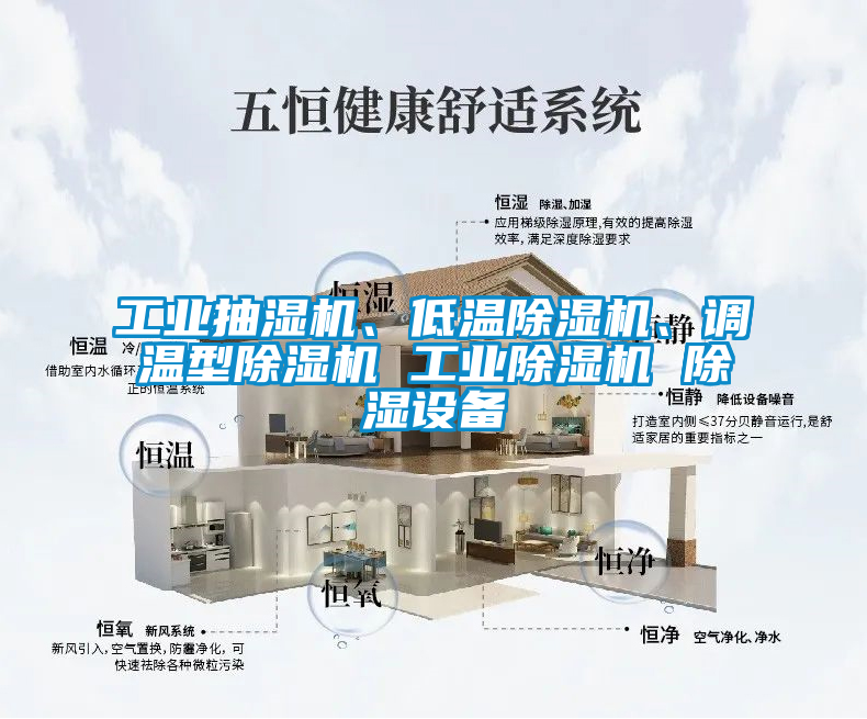 工業(yè)抽濕機、低溫除濕機、調(diào)溫型除濕機 工業(yè)除濕機 除濕設備