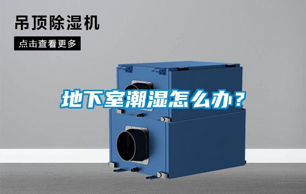 地下室潮濕怎么辦？