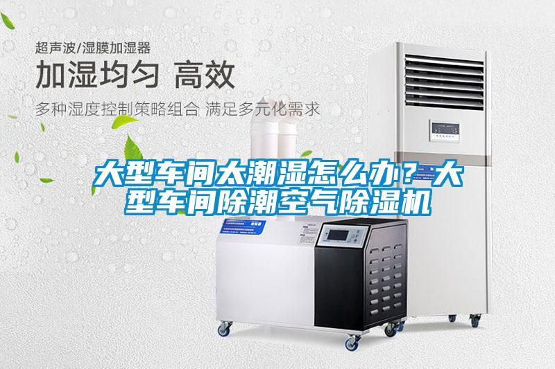 大型車間太潮濕怎么辦？大型車間除潮空氣除濕機(jī)