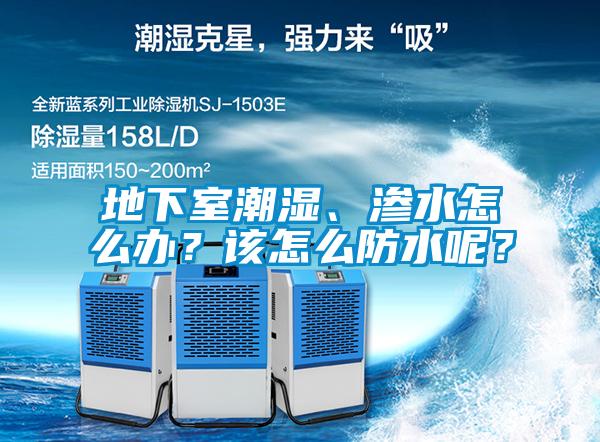 地下室潮濕、滲水怎么辦？該怎么防水呢？