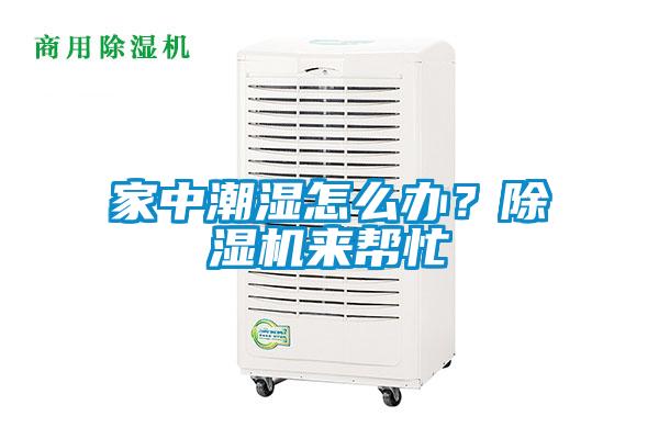 家中潮濕怎么辦？除濕機來幫忙