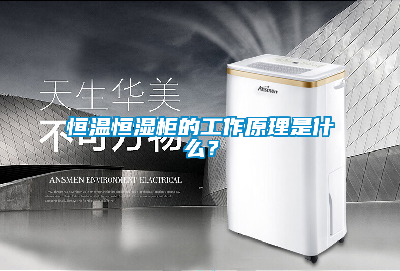 恒溫恒濕柜的工作原理是什么？