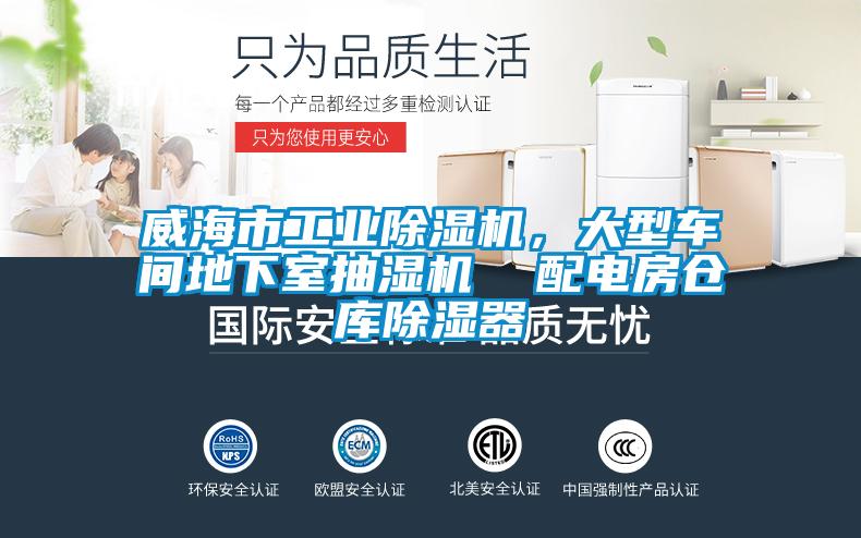 威海市工業(yè)除濕機(jī)，大型車間地下室抽濕機(jī)  配電房倉庫除濕器