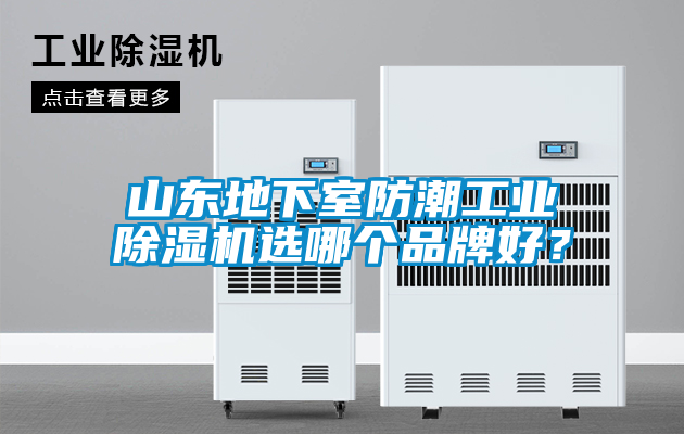 山東地下室防潮工業(yè)除濕機選哪個品牌好？