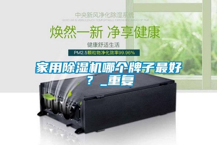 家用除濕機(jī)哪個(gè)牌子最好？_重復(fù)