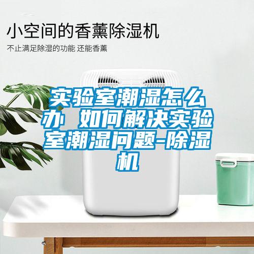 實(shí)驗(yàn)室潮濕怎么辦 如何解決實(shí)驗(yàn)室潮濕問(wèn)題-除濕機(jī)